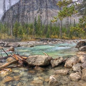 Meet your Posher, Leanne